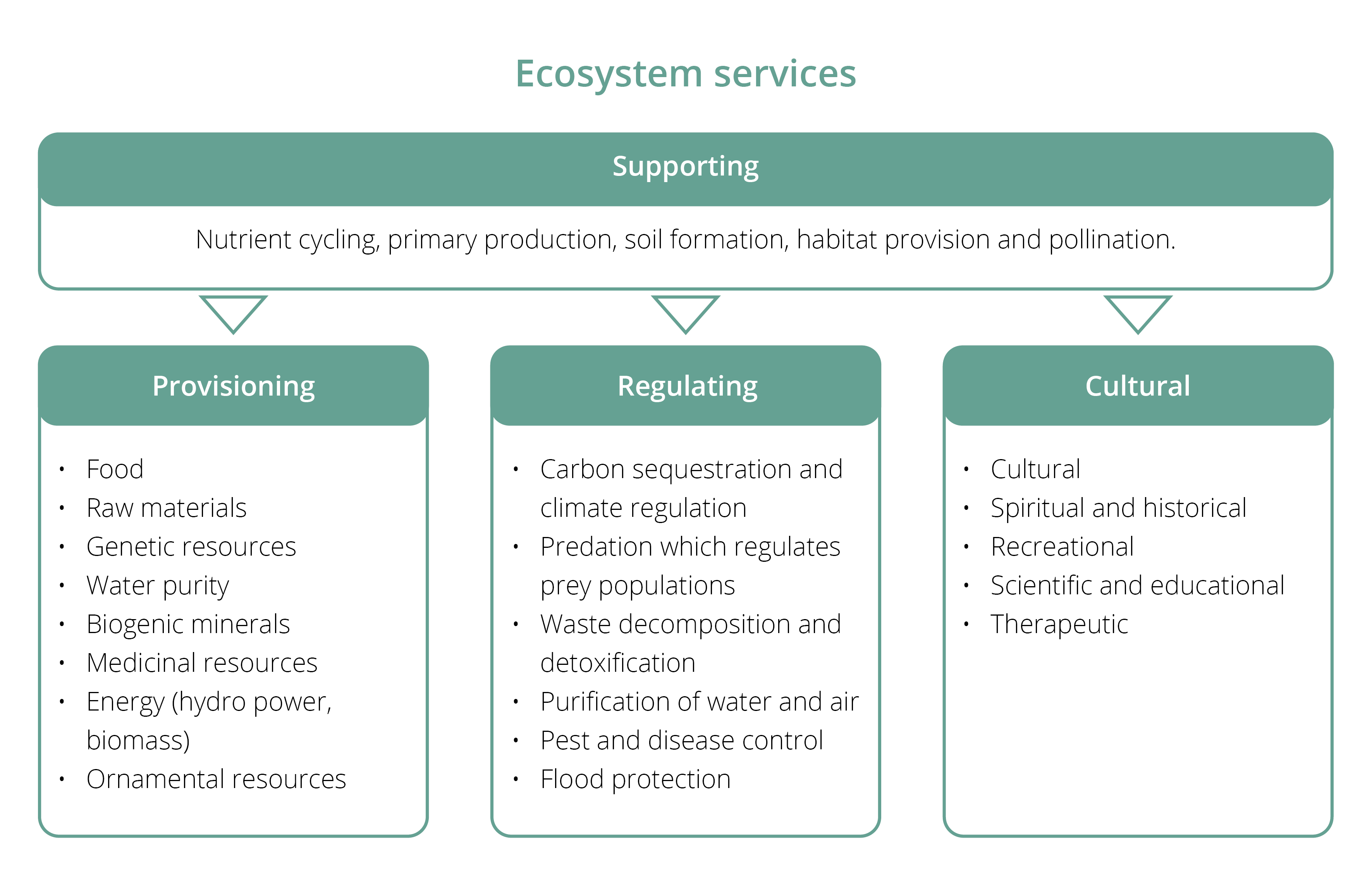 Ecosystem services in four categories